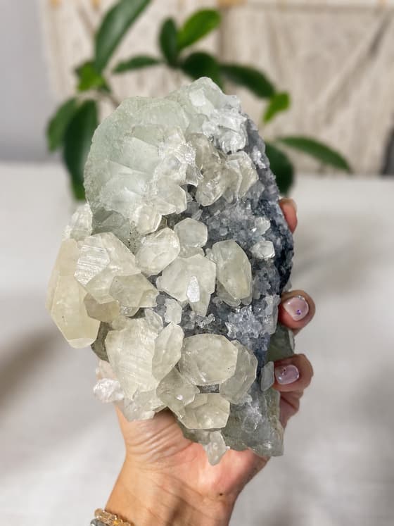 A pale crystal cluster held in a collector’s hand, showing its real scale